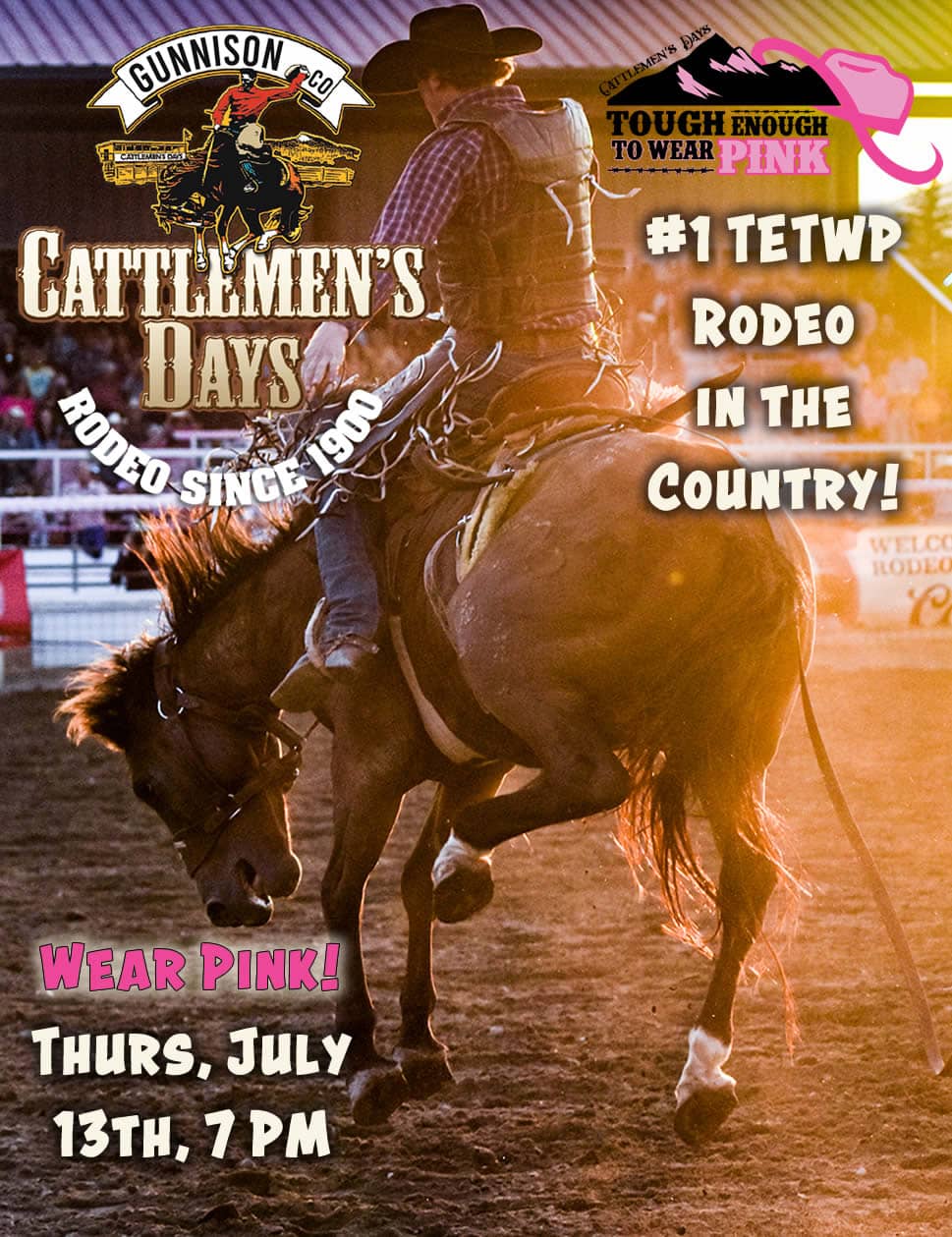TETWP Rodeo Poster
