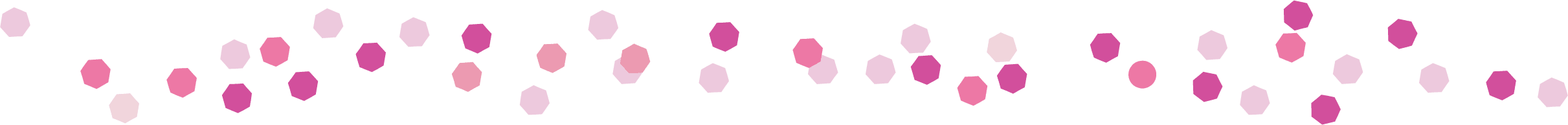 confetti divider
